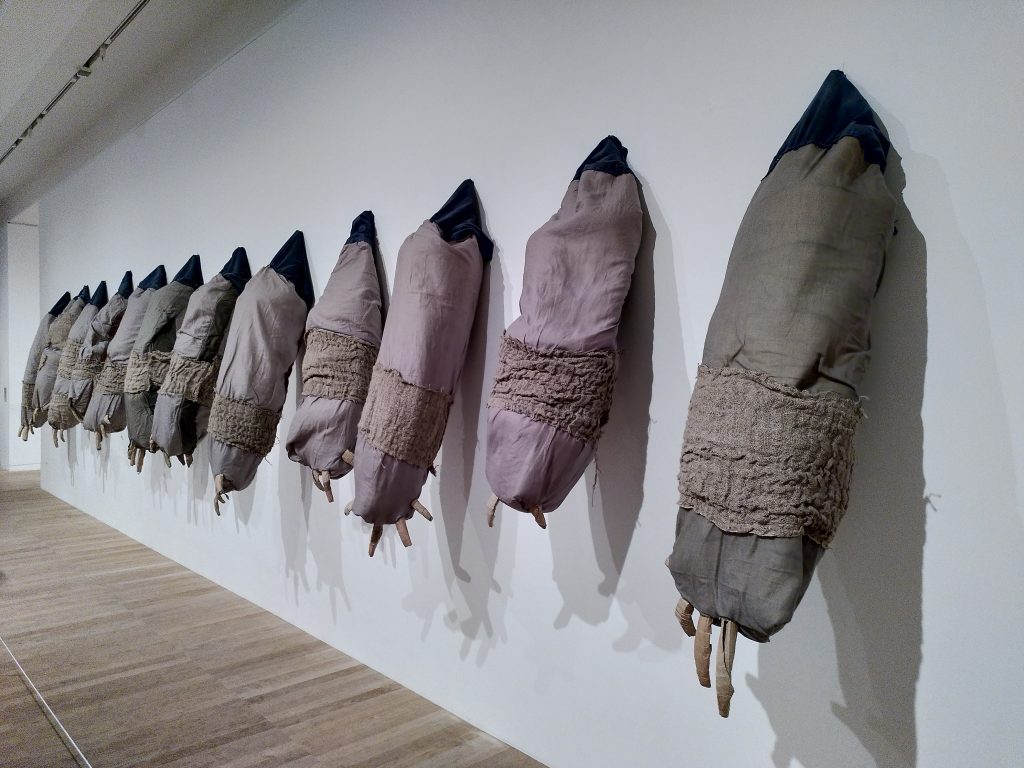 Photo of 12 things hanging from a wall, each of which looks like a grey cloth sack with claws hanging out of the bottom.