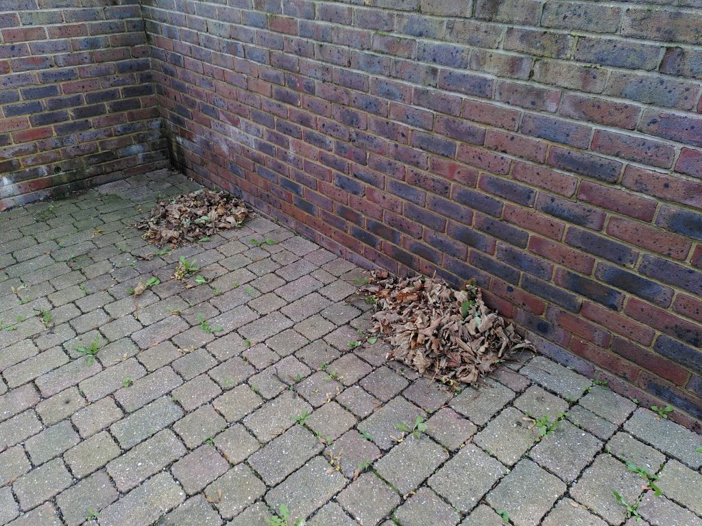 Photo of two neat piles of leaves against a brick wal