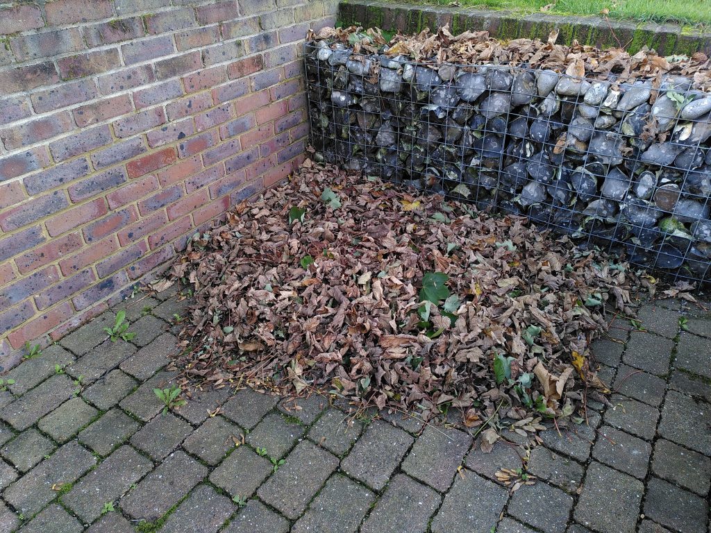 Photo of a large pile of leaves in the corner against a brick wall