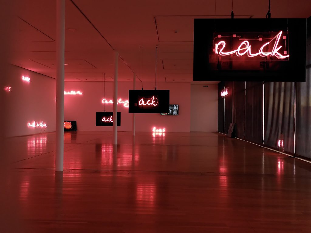 A dark, pink gallery room with various neon fragments of words scattered around the walls and hanging in the air.