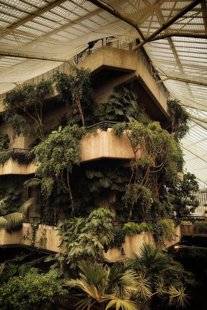 A 3-storey brutalist curved concrete structure sits imposingly in the middle of various plants growing out of it.